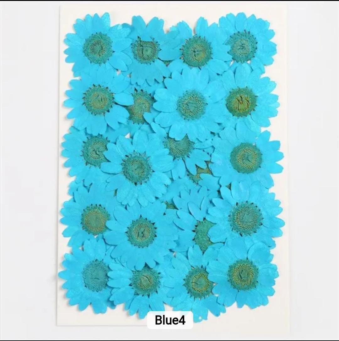 Dried Pressed Flowers – Colorful Real Flowers (pack of 12 Pcs) - Image 14