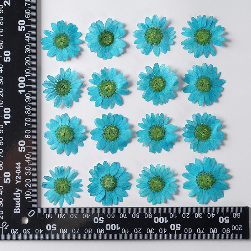 Dried Pressed Flowers – Colorful Real Flowers (pack of 12 Pcs) - Image 13