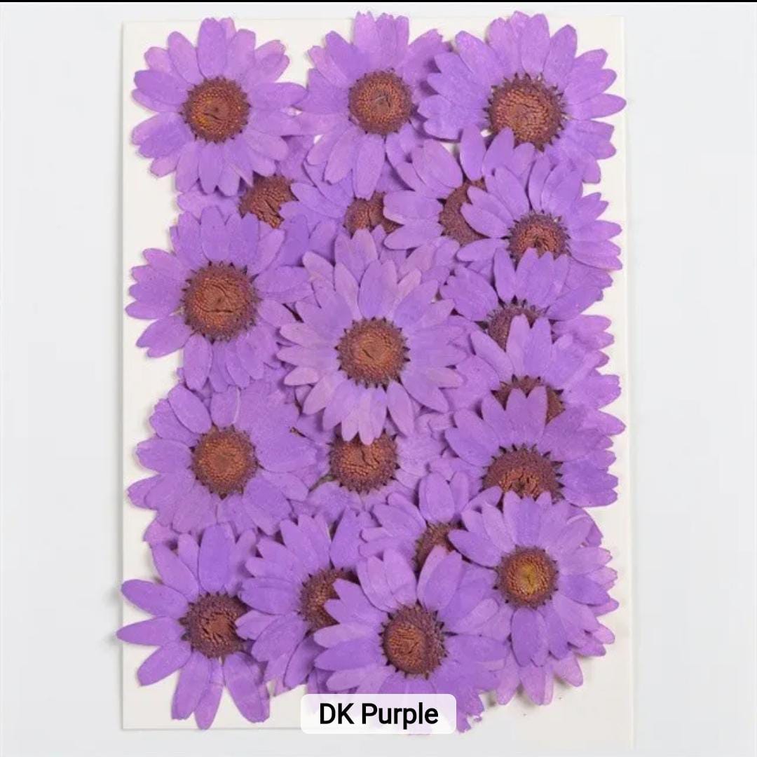 Dried Pressed Flowers – Colorful Real Flowers (pack of 12 Pcs) - Image 12