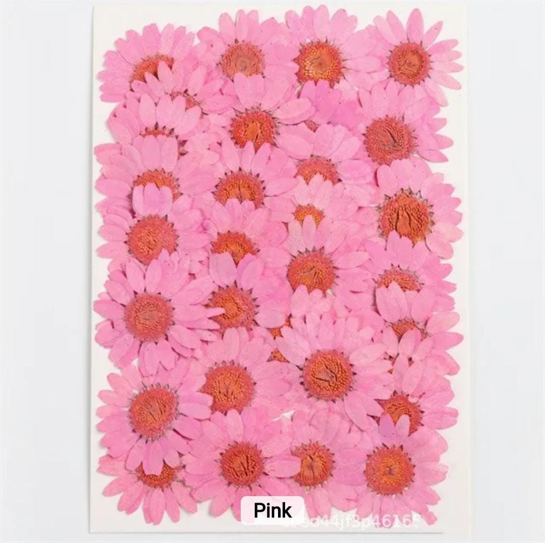 Dried Pressed Flowers – Colorful Real Flowers (pack of 12 Pcs) - Image 6