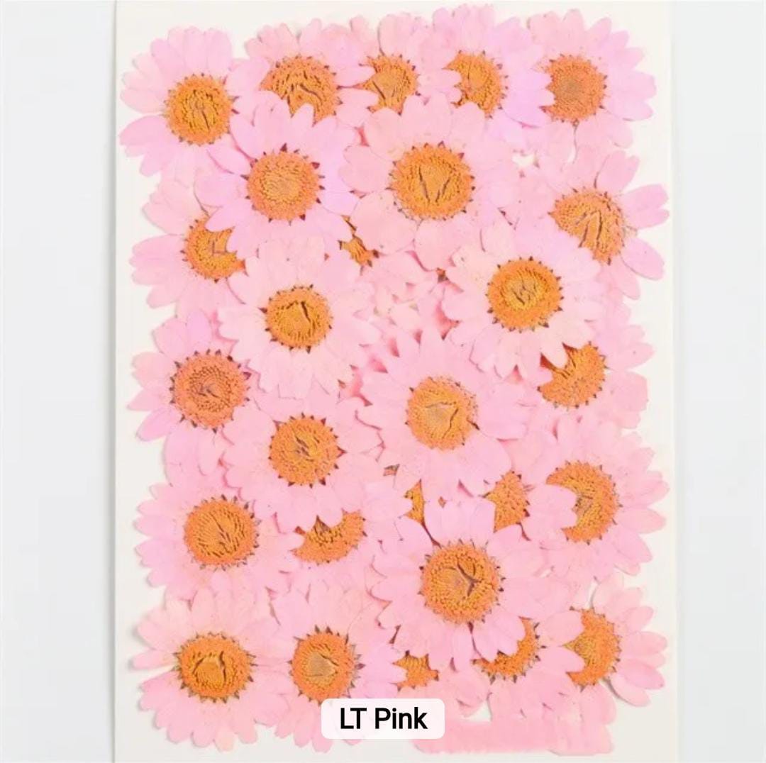 Dried Pressed Flowers – Colorful Real Flowers (pack of 12 Pcs) - Image 8