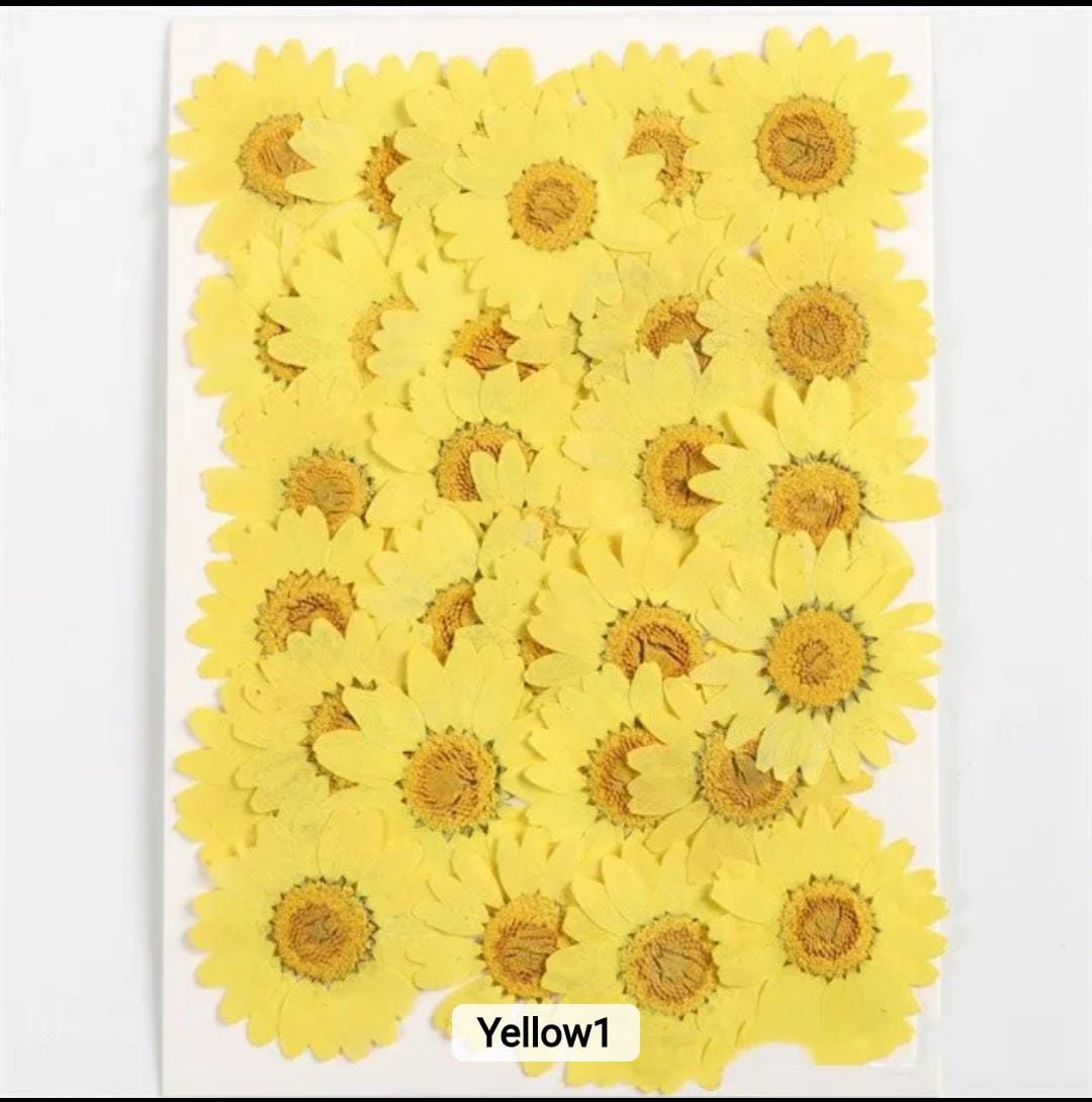 Dried Pressed Flowers – Colorful Real Flowers (pack of 12 Pcs) - Image 4