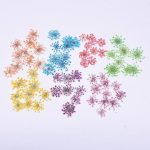 dried pressed flowers, ammi majus dried flower, annalace flower, natural dried flowers for resin, pressed flowers for crafts, resin flower supplies, real dried flowers pack