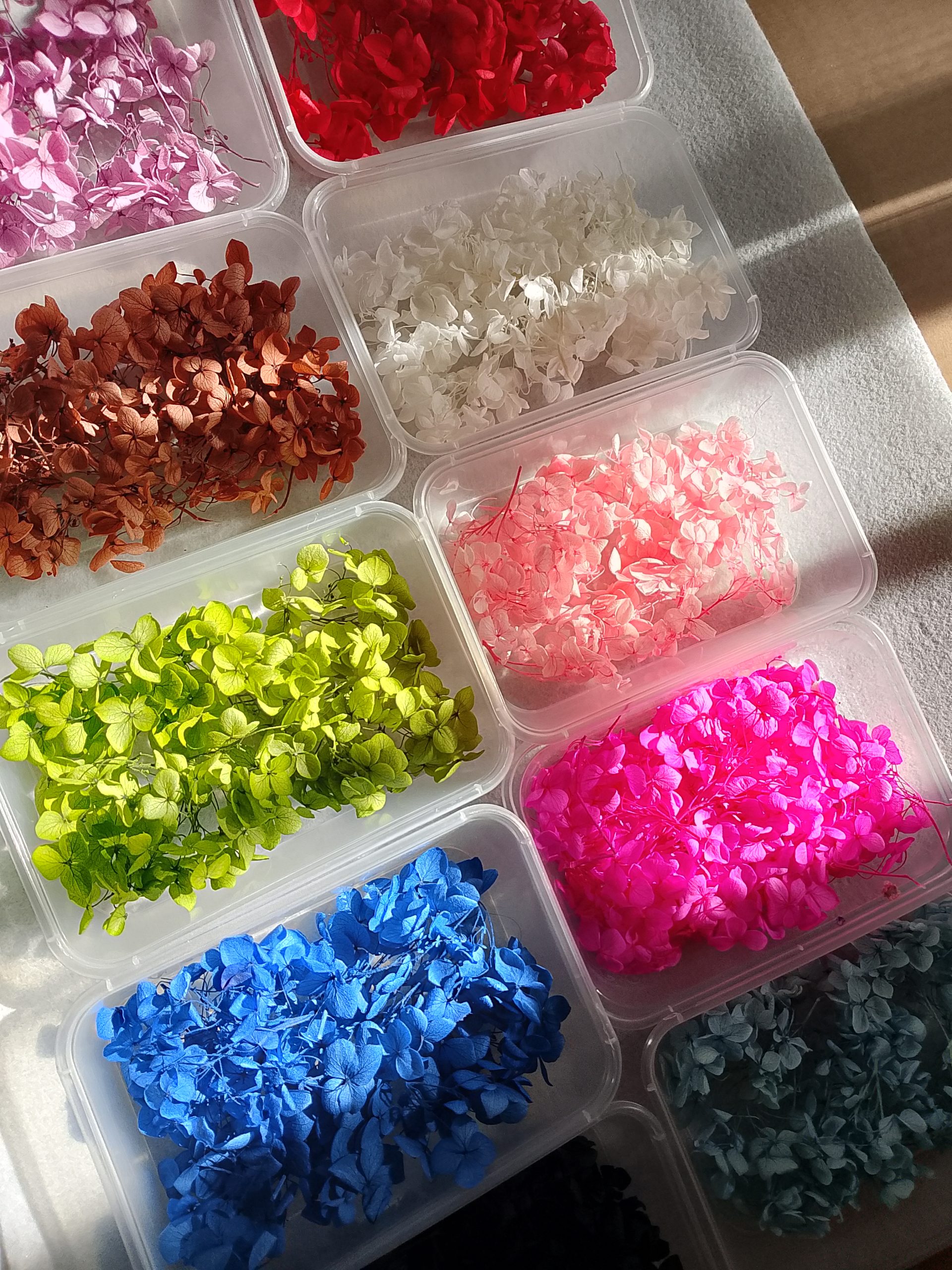 preserved hydrangea flowers, dried hydrangea petals, real flowers for resin, resin art flowers, epoxy resin flower fillers, flowers for candle making, dried flowers for crafts