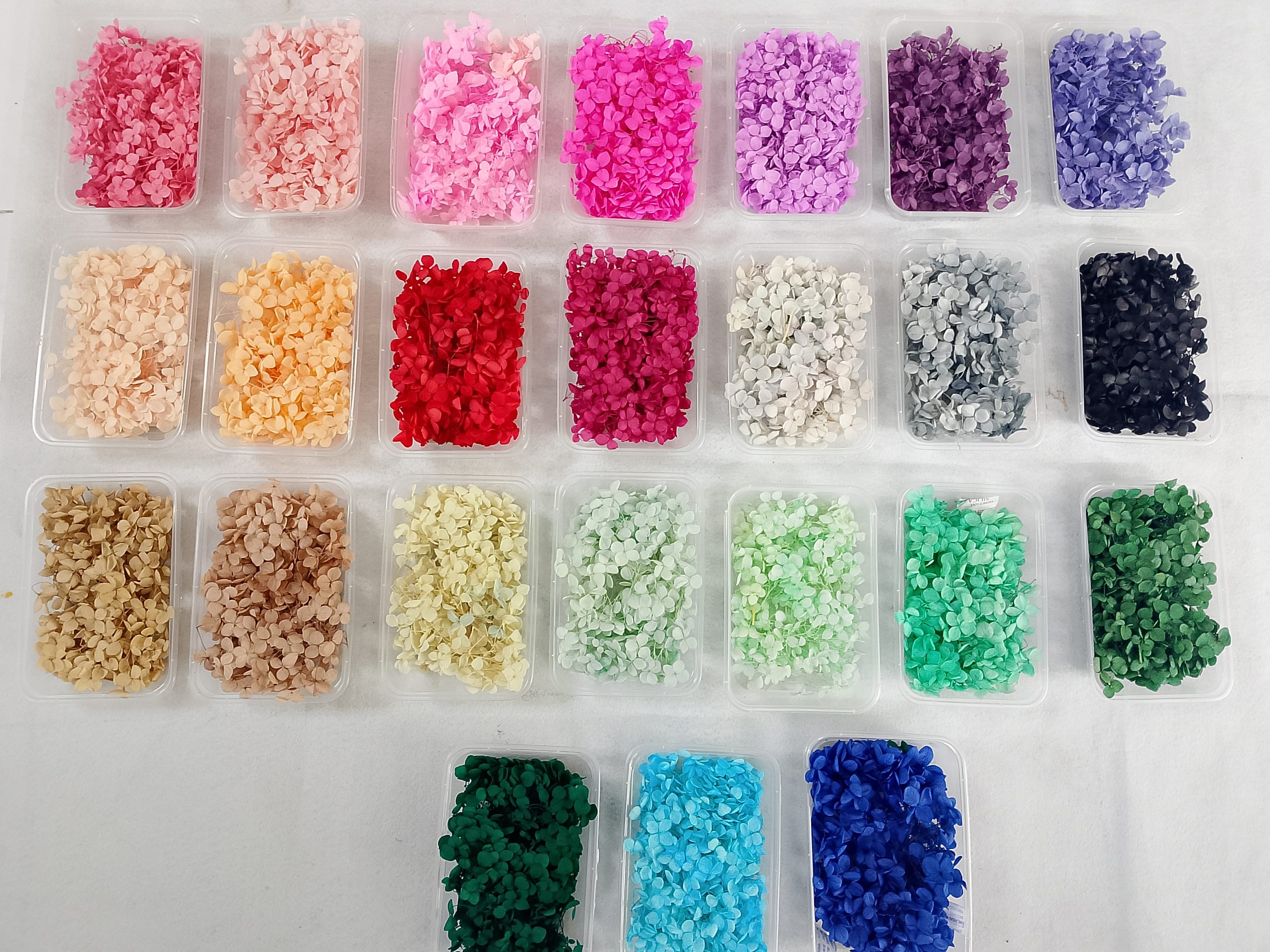 Preserved Hydrangea Flowers (1 Box)