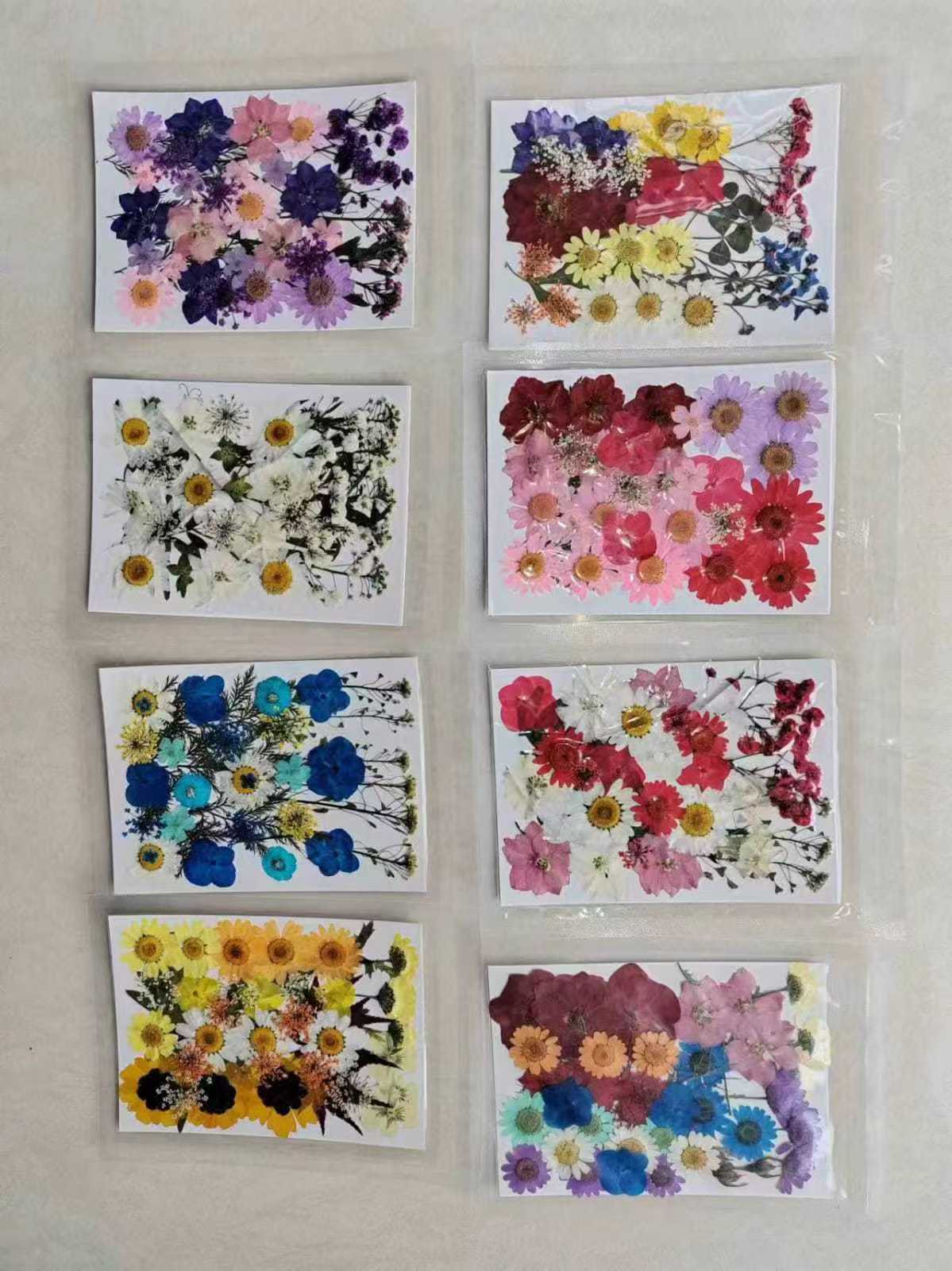 Dried Pressed Mixed Flower Packs 30- 35 pieces - Image 2