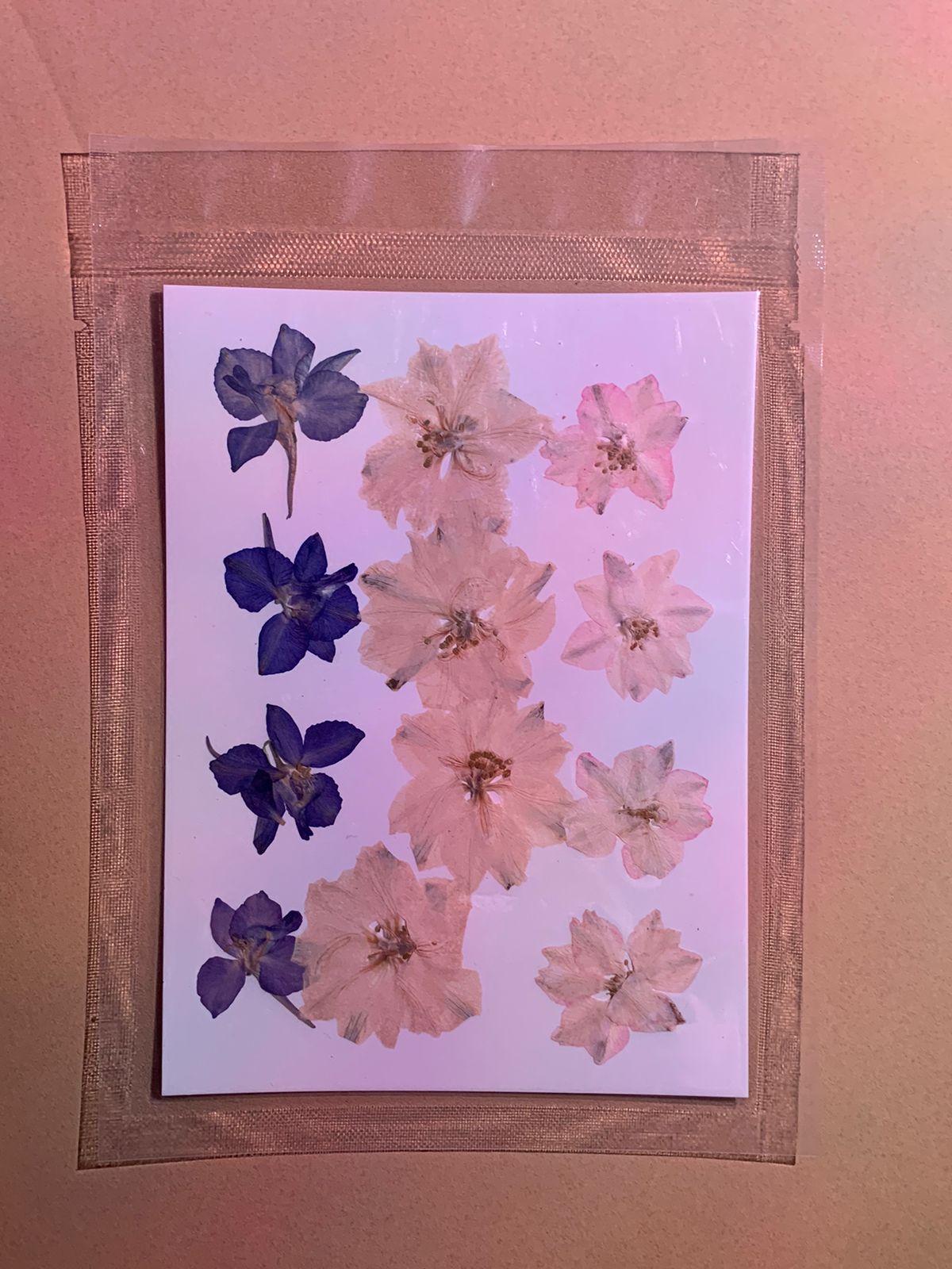 dried pressed larkspur flower, dried flowers for resin, natural dried flowers, resin flower embeds, pressed flowers for crafts, dried flowers for candle making, real dried flowers for resin art