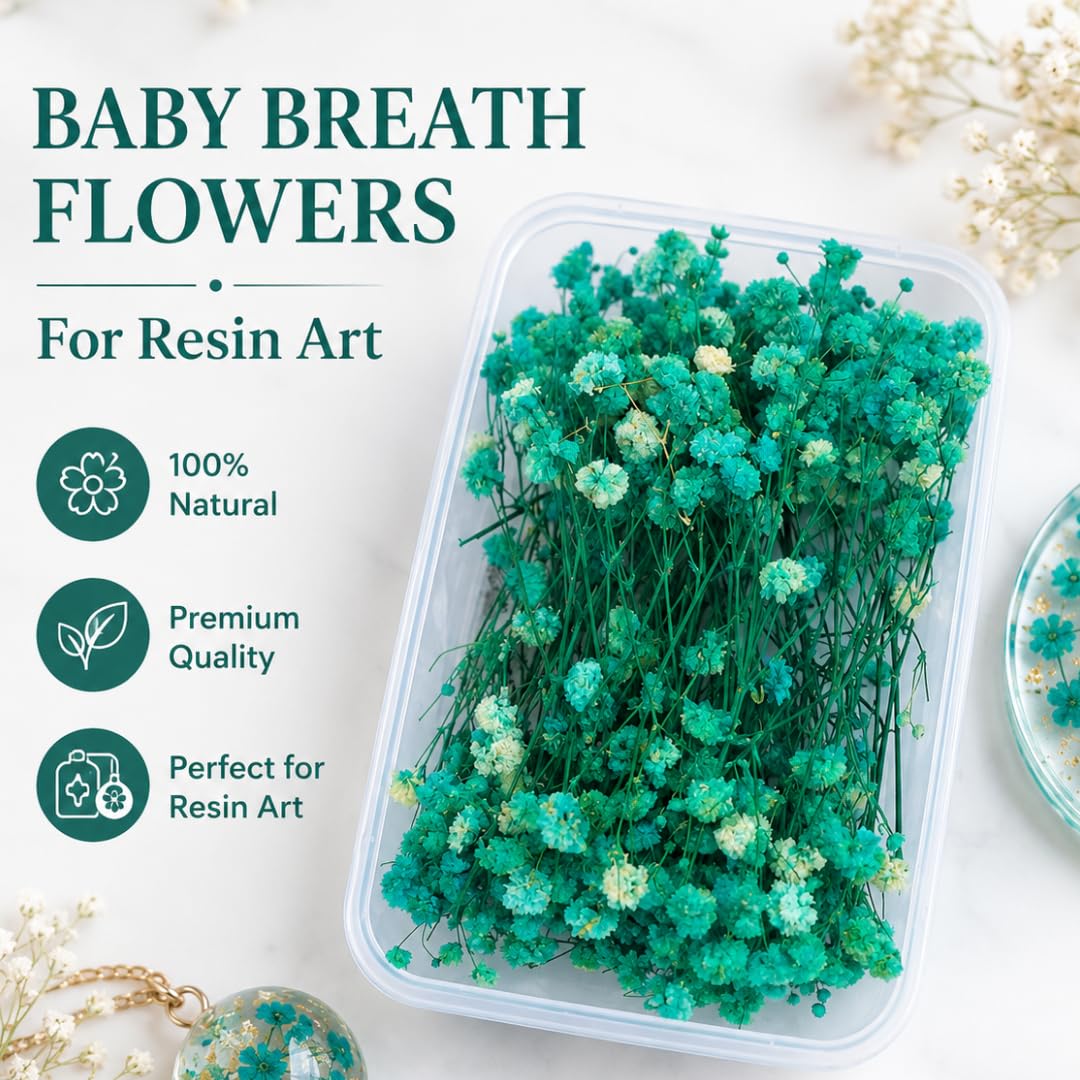 Preserved Baby Breath Flowers – Colorful Dried Floral Filler (30gm)