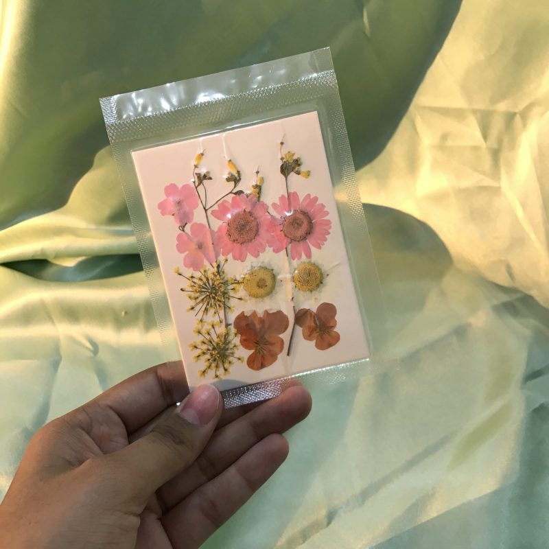 Pressed Dried Flowers