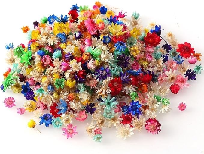 1g/bag DIY Flower Dry Brazil Little Star Flower Natural Tiny Dried Flowers for Epoxy Resin Art Nail Soap Scented Candle Making