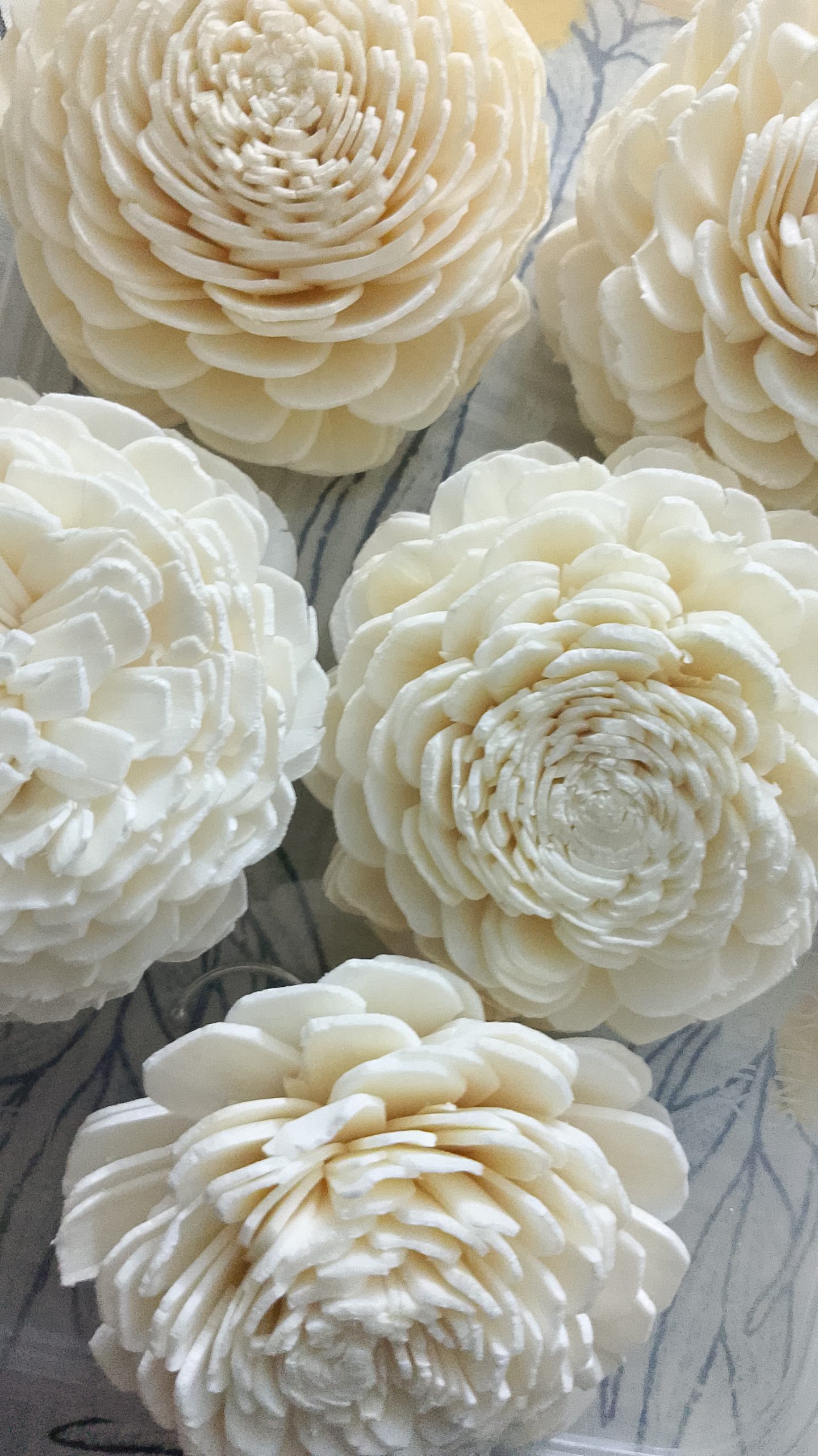 Dried Sola Wood Flower 1 Pc - Image 4
