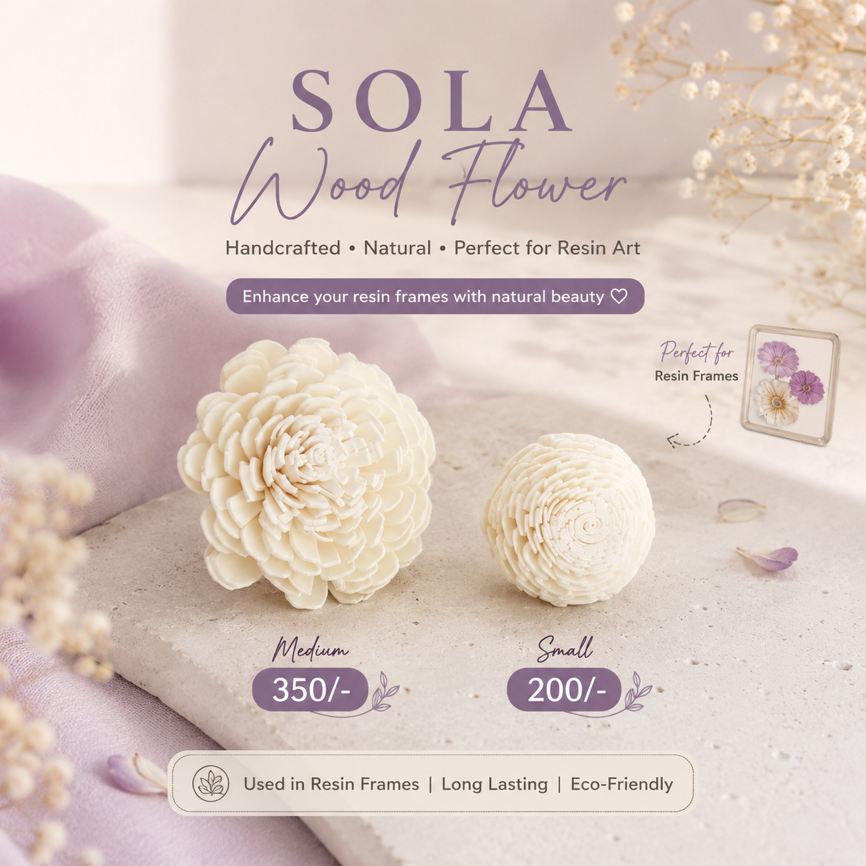 Dried Sola Wood Flower 1 Pc - Image 2