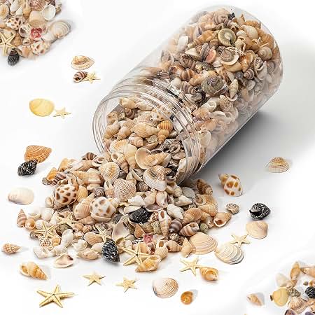 Mixed Seashell Jar (165 gm) - Image 2