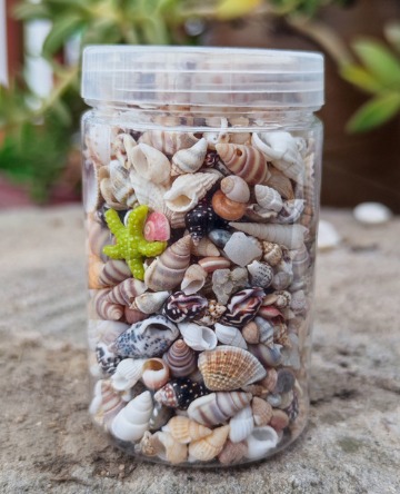 mixed seashell jar seashells for resin art assorted seashells beach theme resin supplies shells for epoxy resin ocean resin art supplies decorative seashells resin craft embellishments beach craft supplies seashell decorations